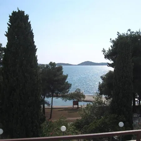 Dalmatino 2*