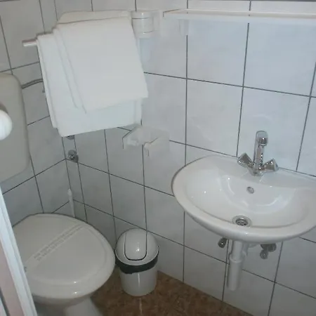Dalmatino 2*