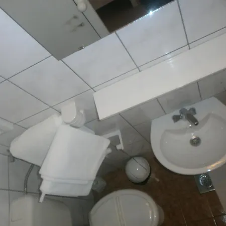 Dalmatino