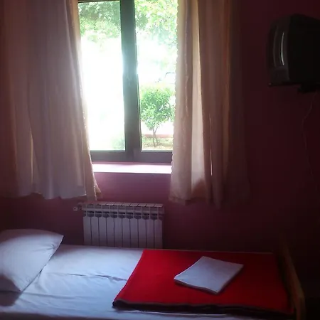 Dalmatino 2*