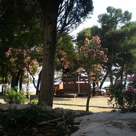 Dalmatino Vodice